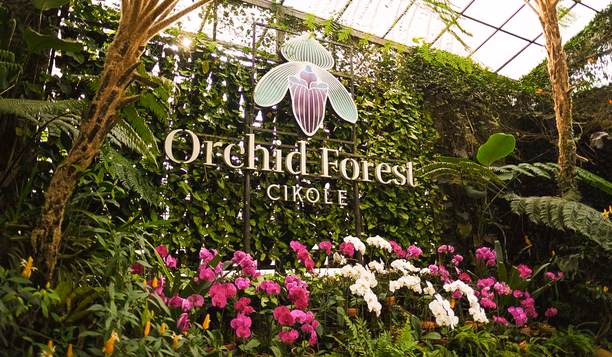 Orchid Forest Cikole